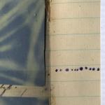 blue page