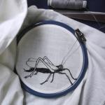 embroidery