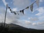 irish flags