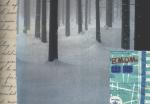 snowfall bandaged trees