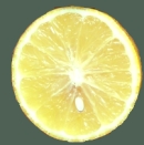 pablo neruda - a lemon