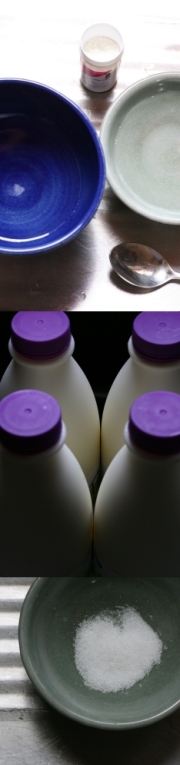 mozzarella ingredients