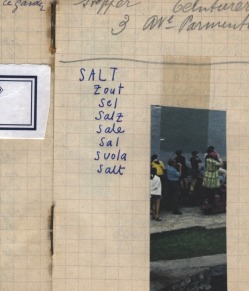 SALT journal